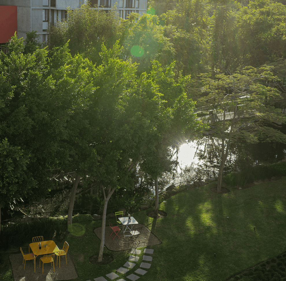 Art Park